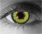 Mad Hatter Contact Lenses - Mad Hatter Contacts by Novelty Mfg