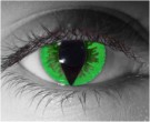 Green Reptile Contact Lenses - Green Reptile Contacts by Novelty Mfg