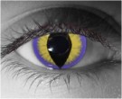 Seducer Contact Lenses - Seducer Contacts by Novelty Mfg