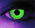 Rave Green Contact Lenses - Rave Green Contacts by Novelty Mfg