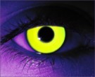 Rave Yellow Contact Lenses - Rave Yellow Contacts by Novelty Mfg