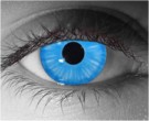 Shiva Contact Lenses - Shiva Contacts by Novelty Mfg
