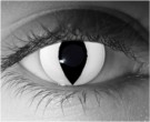 White Cat Contact Lenses - White Cat Contacts by Novelty Mfg