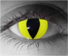 Yellow Cat Contact Lenses - Yellow Cat Contacts by Novelty Mfg