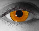 Palpatine Contact Lenses - Palpatine Contacts by Novelty Mfg