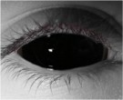 Black Sclera Contact Lenses - Black Sclera Contacts by Novelty Mfg