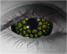 Medusa Contact Lenses - Medusa Contacts by Novelty Mfg