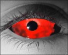 Bloodlust Contact Lenses - Bloodlust Contacts by Novelty Mfg