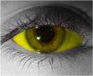 Yellow Sclera Contact Lenses - Yellow Sclera Contacts by Novelty Mfg