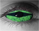 Predator Contact Lenses - Predator Contacts by Novelty Mfg