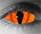 Species Contact Lenses - Species Contacts by Novelty Mfg