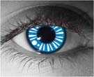 Aino Contact Lenses - Aino Contacts by Novelty Mfg