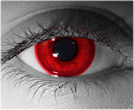 Blood Red Contact Lenses - Blood Red Contacts by Novelty Mfg