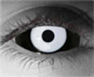 White Out Sclera Contact Lenses - White Out Sclera Contacts by Novelty Mfg