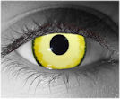 Yellow Contact Lenses - Yellow Contacts by Novelty Mfg