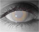 Frosty Contact Lenses - Frosty Contacts by Novelty Mfg