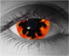 Inferno Contact Lenses - Inferno Contacts by Novelty Mfg