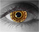 Lurtz Contact Lenses - Lurtz Contacts by Novelty Mfg