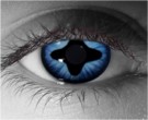 Splice Contact Lenses - Splice Contacts by Novelty Mfg